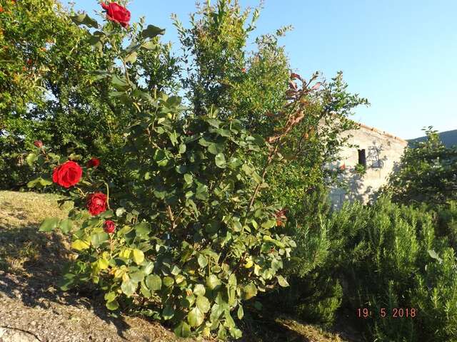 Апартаменты Raj Котор-25