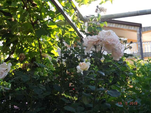 Апартаменты Raj Котор-27